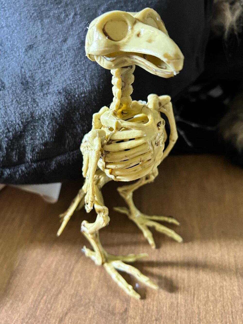 7.5" tall skeleton halloween bird decor decoration crow graveyard accent